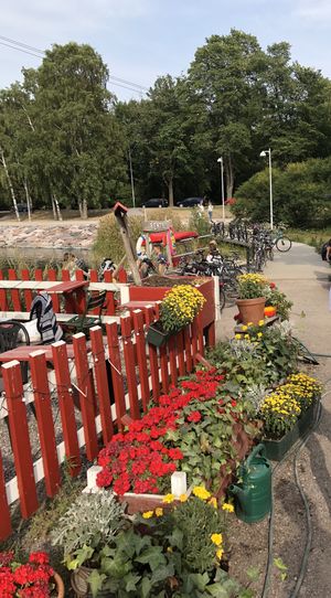 Cute place to eat  at Regatta in Helsinki