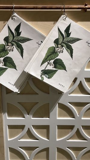 Locale at Shake Cafe - Del Corso in Florence