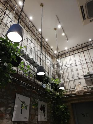 The inside at Shake Cafe - Del Corso in Florence