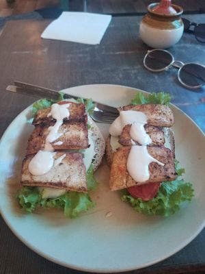 Tofu sandwich at SpaceOut in Dharamkot
