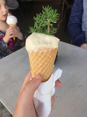 salted maple peanut at Roho Bure in South Fremantle