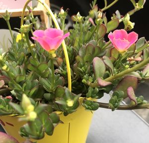 Cute table decorations  at Botanique in Hasselt