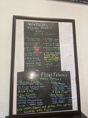 Menu- They're all vegan! at The Flying Falafel in Berkeley