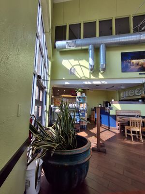 Inside at Green Vegetarian Cuisine - Quarry Market in San Antonio