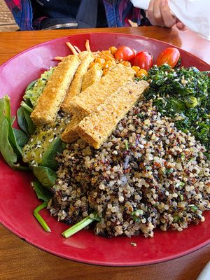 Quinoa Salad 🥗 at Green Vegetarian Cuisine - Quarry Market in San Antonio