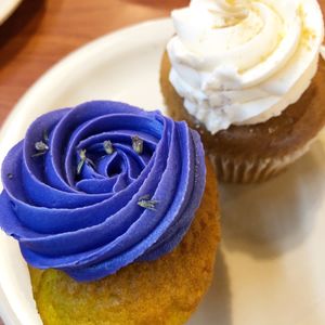 Lavender and vanilla cupcakes at Green Vegetarian Cuisine - Quarry Market in San Antonio