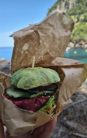  at Ecocirer in Mallorca