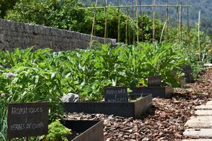 Our ecologic garden. at Ecocirer in Mallorca