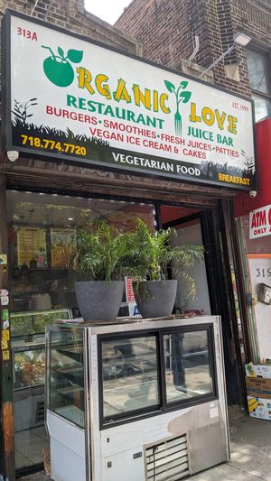  at Organic Love in Brooklyn