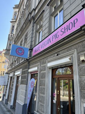   at Blue Vegan Pig Shop in Prague