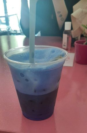  at Blue Vegan Pig Shop in Prague