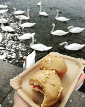 Naplavka at Blue Vegan Pig Shop in Prague