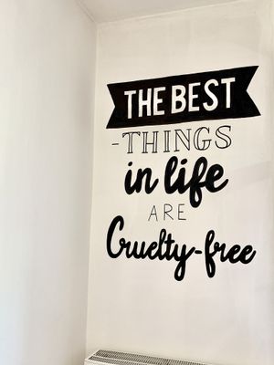 Shop Interior at Blue Vegan Pig Shop in Prague