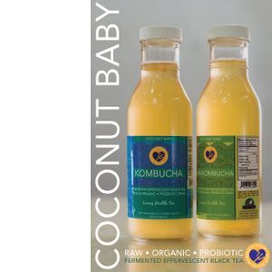 Small Batch Kombucha. 6 flavors available. Apple Pie, Vanilla Chai, Lavender, Ginger Mint, Hibiscus Ginger and Seasonal. at Coconut Baby in Wanstead
