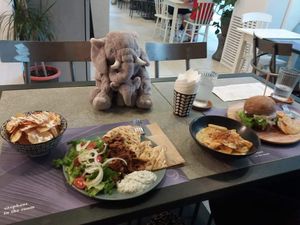 Gyros, fries, dumplings, lentil burger - dish of the day at Elephant in the Room in Thessaloniki