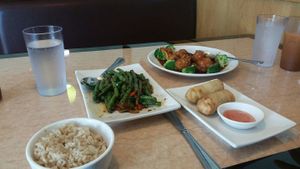 spring rolls, string bean appetizer, orange peel veg meat, and a special noodle soup made with ginger and tomato. at Ma Ma Wok in Charlotte