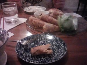 Spring rolls and deep fried dumplings at Seasoned Fusion Tastes in Saskatoon