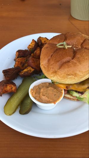 tex-mex burger  at Pulse Cafe in Hadley