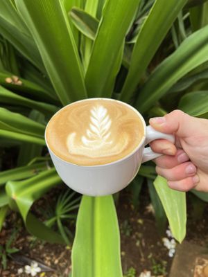 Almond milk latte  at Imua Coffee Roasters in Kapaa