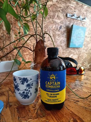 Kombucha de gingebre i llimona at Mandala Kitchen in Lescala