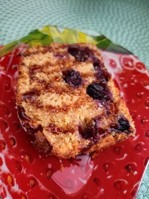 Coca de llimona amb nabius at Mandala Kitchen in Lescala