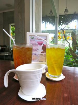 Iced herbal drinks at Talalask in Bangkok