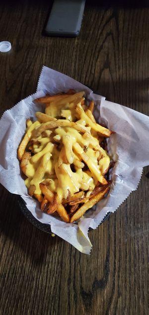 Cheese fries at Blackbird in Philadelphia