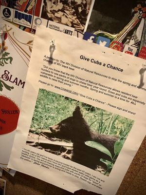 great bulletin board in back   at The Wild Bean in Lewisburg