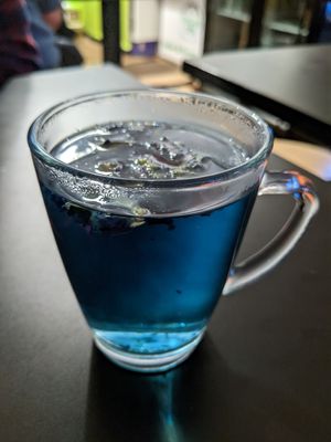 Butterfly pea flower tea at Vegan Yes in East London