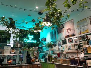 The interior with fermenting kombucha & real plants at Vegan Yes in East London