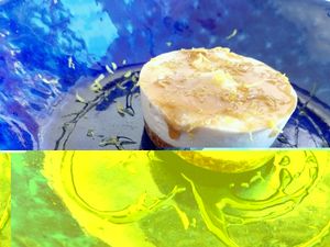 Vegan tart at Ela Canela in Lisbon