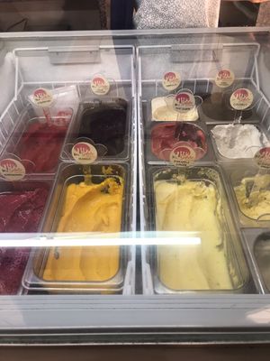 All vegan  at Gelato Factory - Maybe closed in Pondicherry