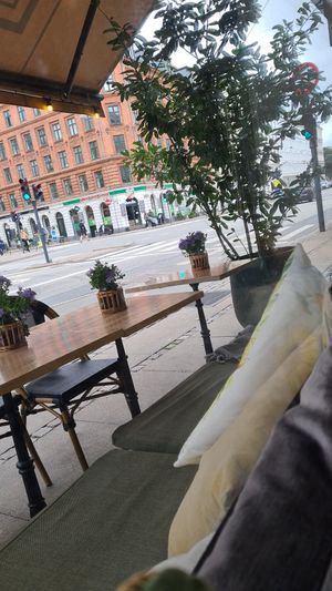  at Cafe Feel Good in Copenhagen