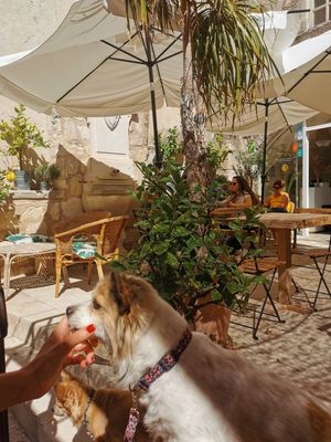 Patio at Les Baux Jus in Les Baux-de-provence