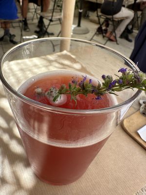 Kambucha  at Les Baux Jus in Les Baux-de-provence