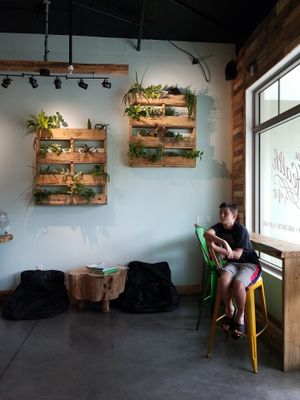 Great decor  at Good Vibes Juice in Largo