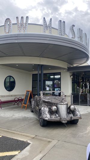 Fun setting  at Mellow Mushroom  in Henrico