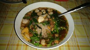 Jay version of Tom Yum  at Thai Vegetarian Food in Chiang Mai