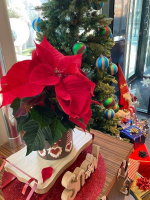  at Pizza Express - Clarence Dock in Leeds