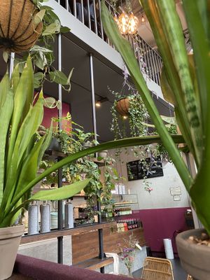 Interior at Beetnut in Zurich