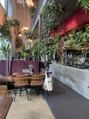 Lots of greenery  at Beetnut in Zurich