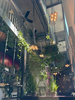 Interior  at Beetnut in Zurich