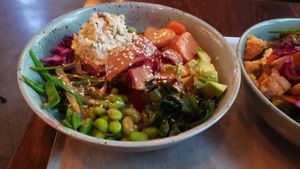 Warm Poke bowl with faux tuna mousse.  at Beetnut in Zurich