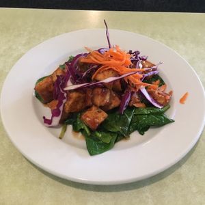 Spicy Braised Tofu at Noodle in College Park