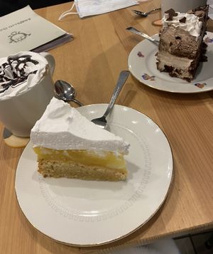   at Katzencafe Miezhaus in Bielefeld