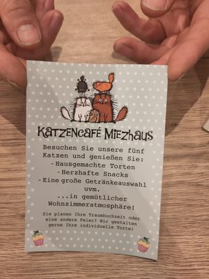  at Katzencafe Miezhaus in Bielefeld
