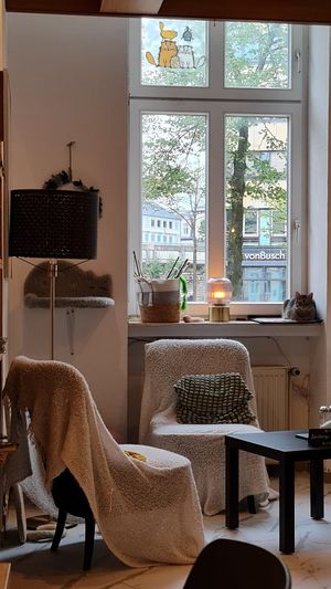  at Katzencafe Miezhaus in Bielefeld