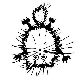 cat cafe logo at Katzencafe Miezhaus in Bielefeld