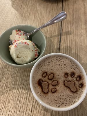 Kakao mit Eis  at Katzencafe Miezhaus in Bielefeld