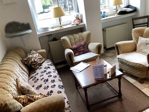 inside at Katzencafe Miezhaus in Bielefeld